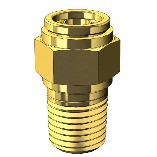 Brass Hex Socket NPT